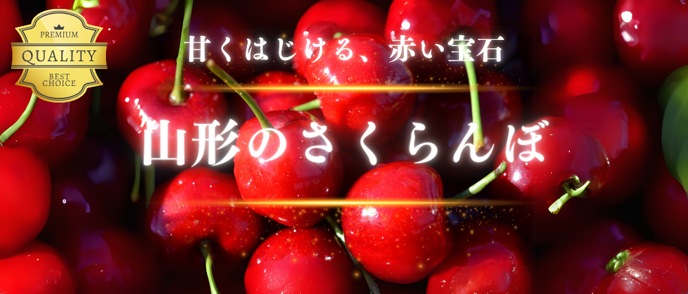 banner1-2.jpg