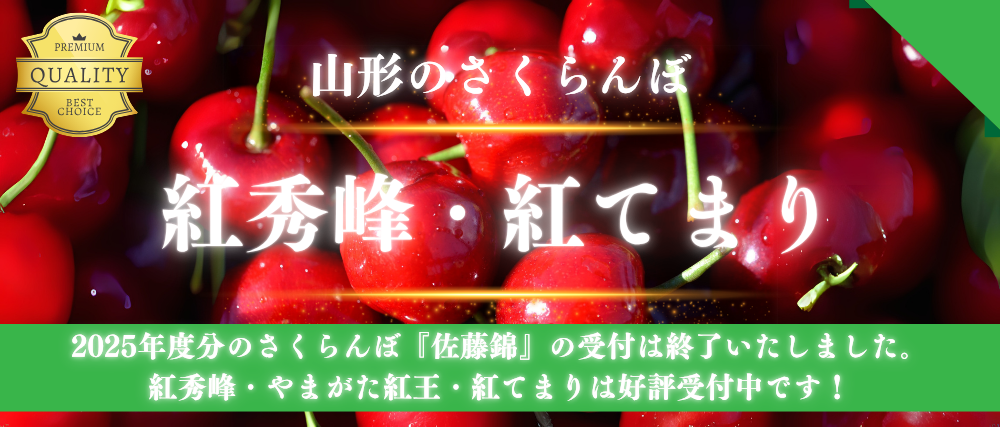 banner1-2.jpg