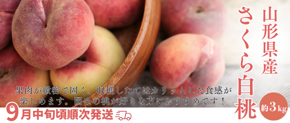 banner1-2.jpg