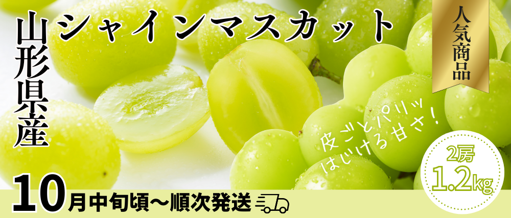 banner1-2.jpg