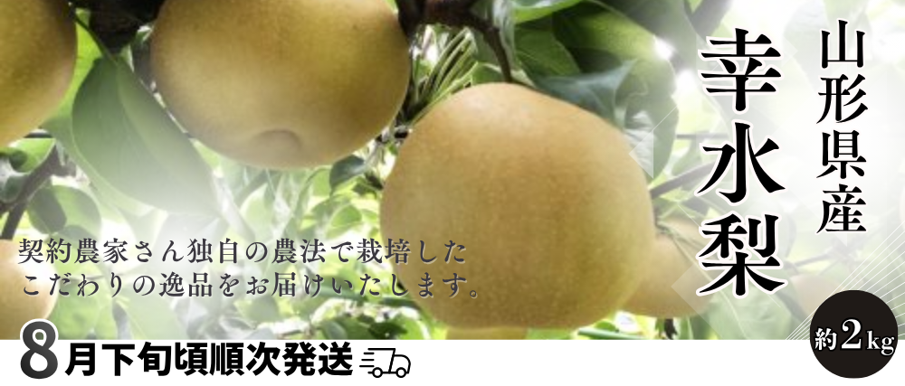 /banner11.png