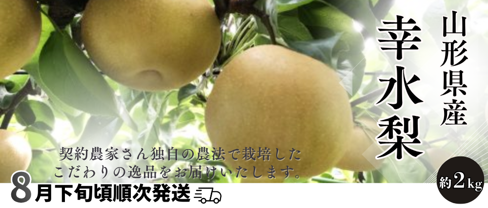 /banner11.png