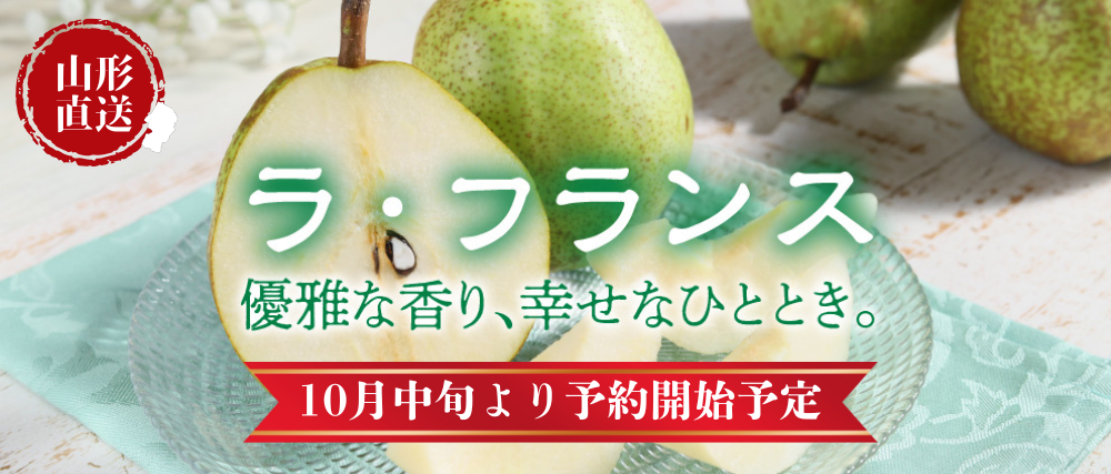 banner1-2.jpg