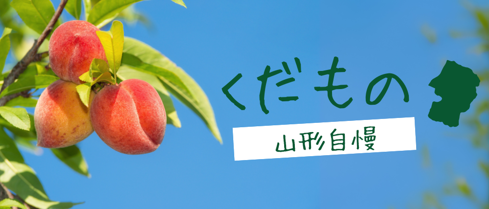 banner5.jpg